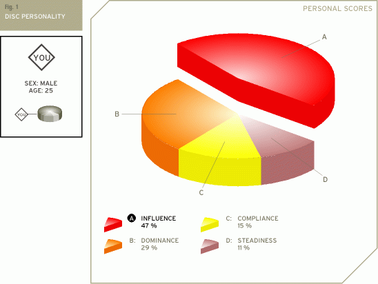 my DiSC test results