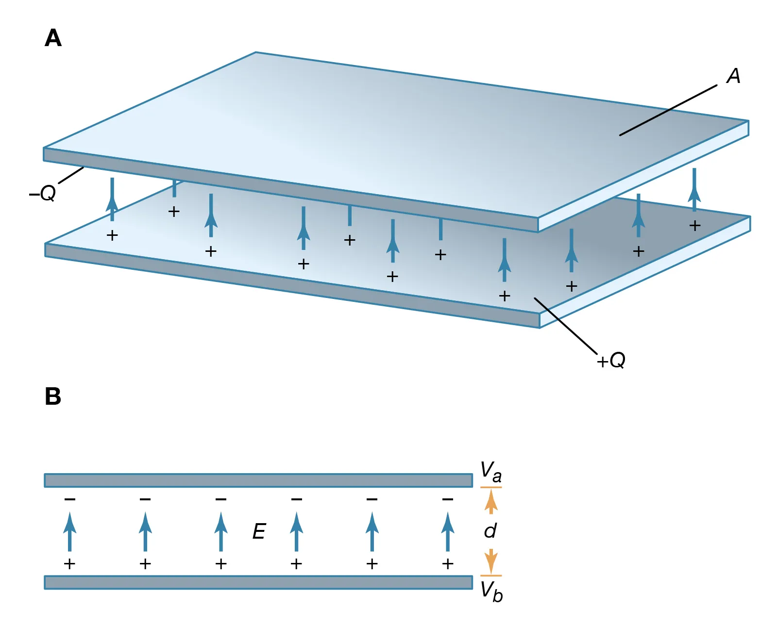 Capacitor Diagram